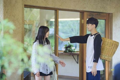 最新八卦爆料郑爽,神秘男友身份引网友热议